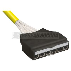  FRETTE C6A S/FTP CASS-PLUG 6M 
