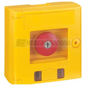  COFFRET JAUNE CDP CLE VOYANT 