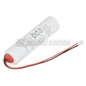  BATT BAES EVAC LEDS ECO1 IP66 