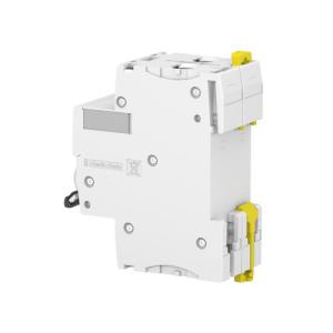  IC60N DISJ 2P 63A COURB C 