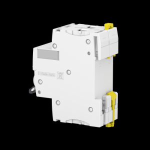  IC60N DISJ 2P 63A COURB C 
